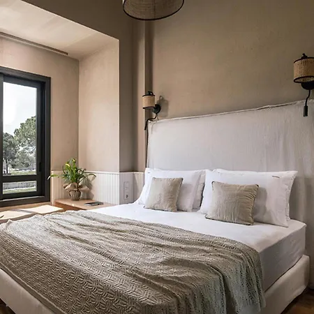 Guest house Dia Viou Rene